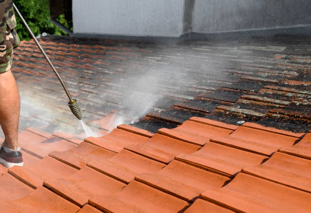 Best Roof Power Washing Services  in , MO